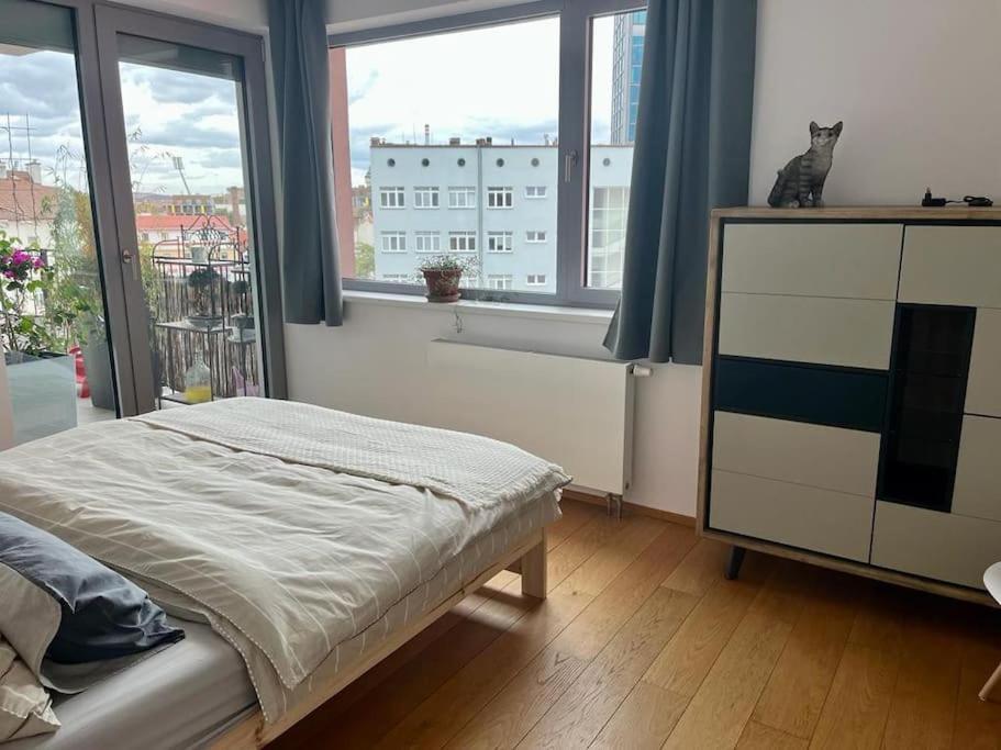 Apartment In Historical Center With Park View Pilsen Exterior photo
